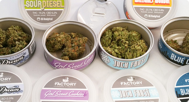 Essentials category image